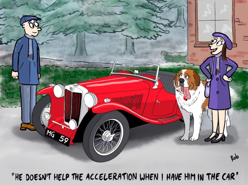 1939 MG TA Midget and St. Bernard: When Your Four-Legged Co-Pilot Affects thumbnail