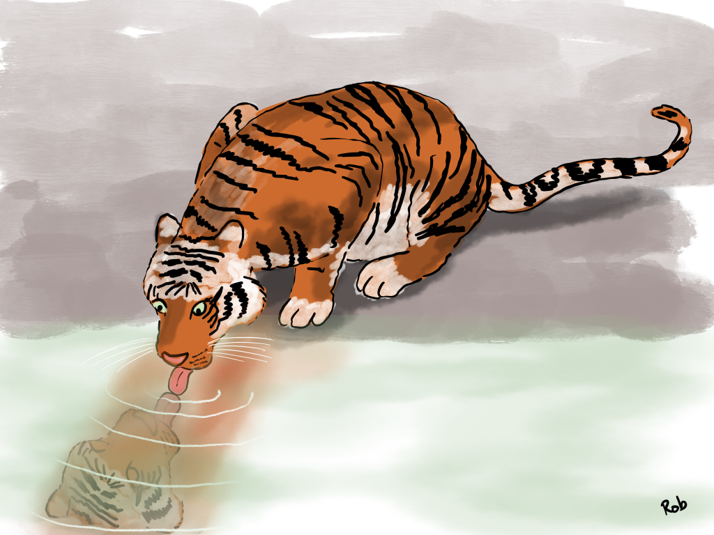 Wildlife cartoons