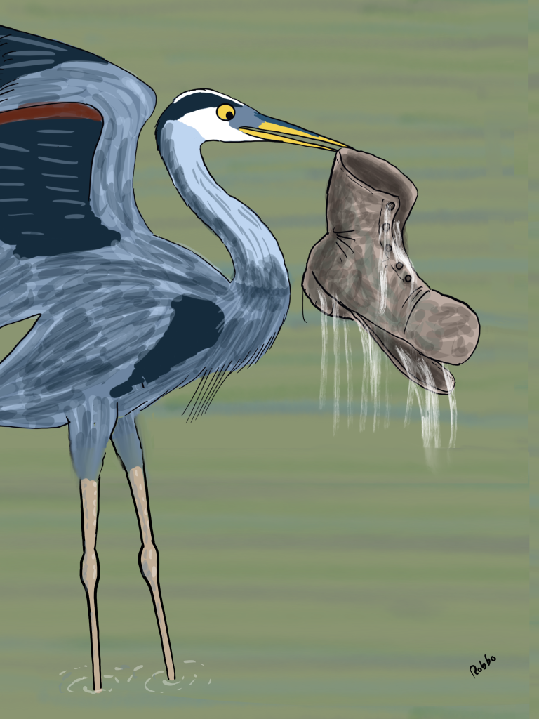 Heron and boot cartoon