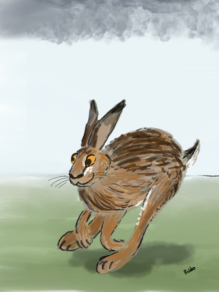 Hare