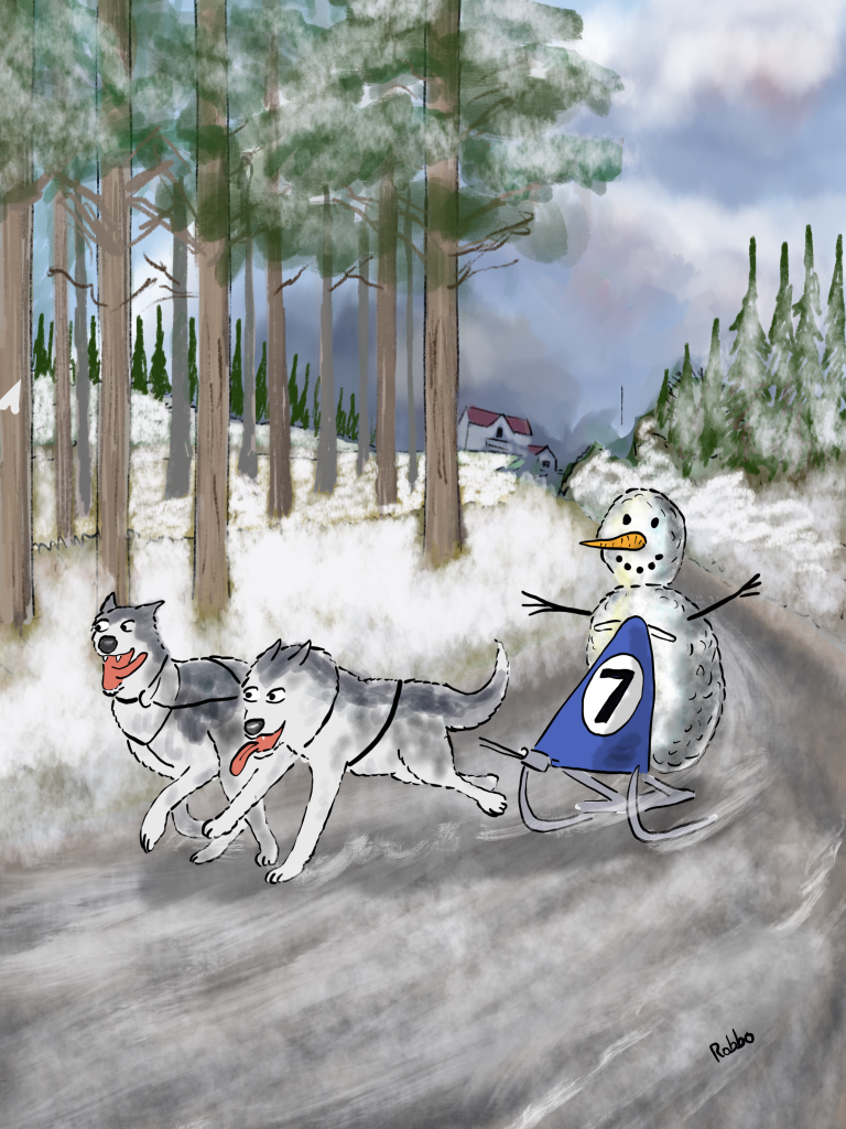 Dog sleigh snowman