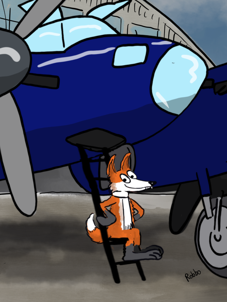 Felix and aircraft