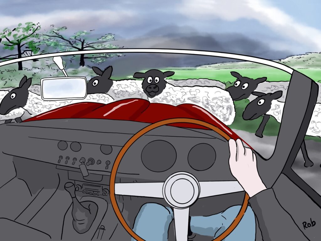 E-type cartoon