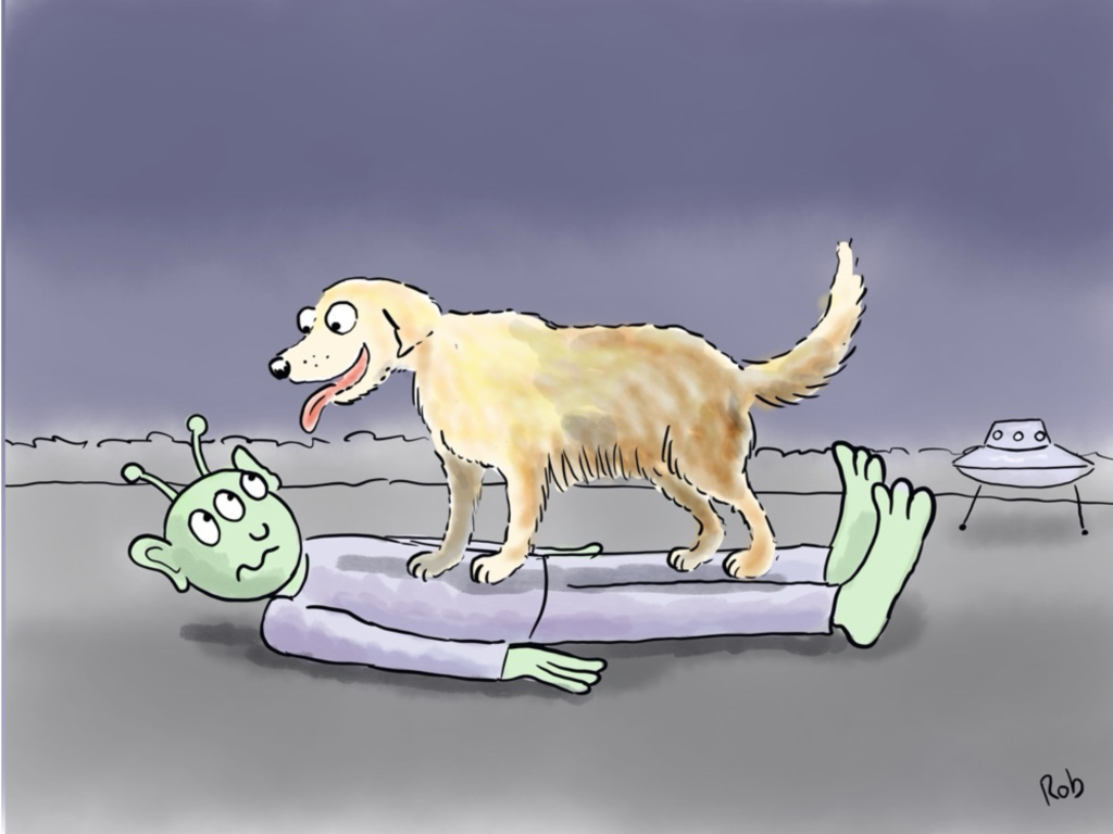 Golden-retriever