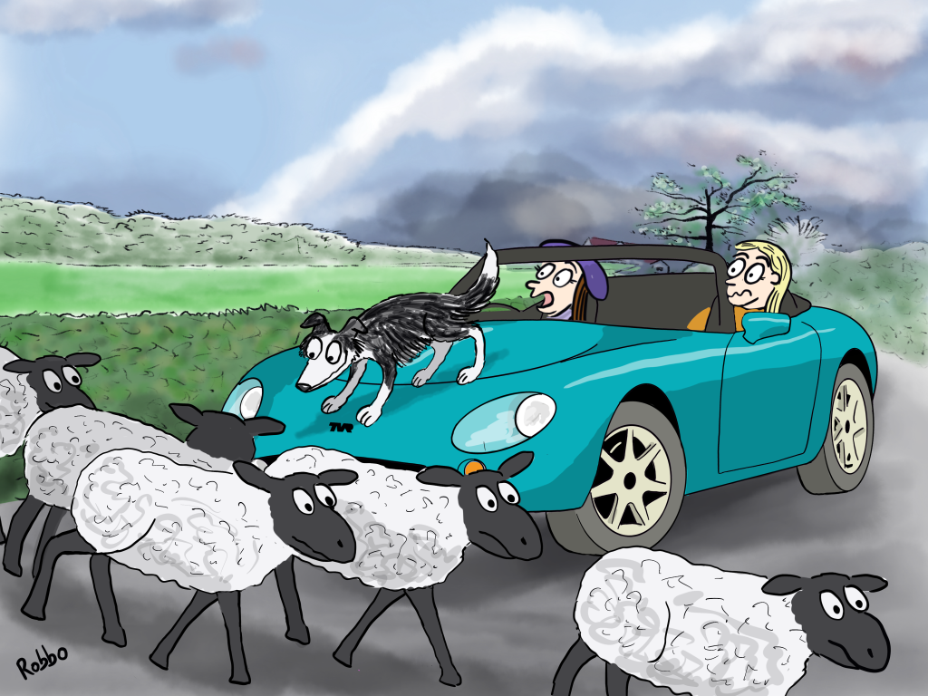 TVR art commission