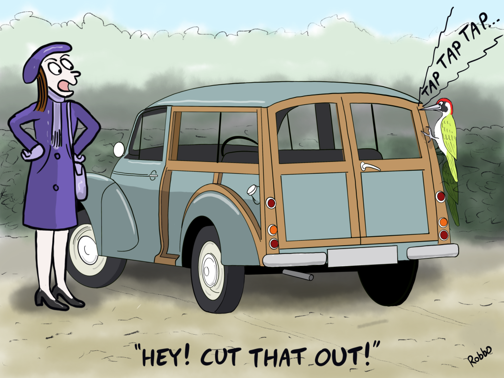 Morris Traveller Cartoon